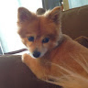 Meet your Posher, Fatima